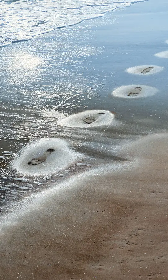 Footprints 13:23