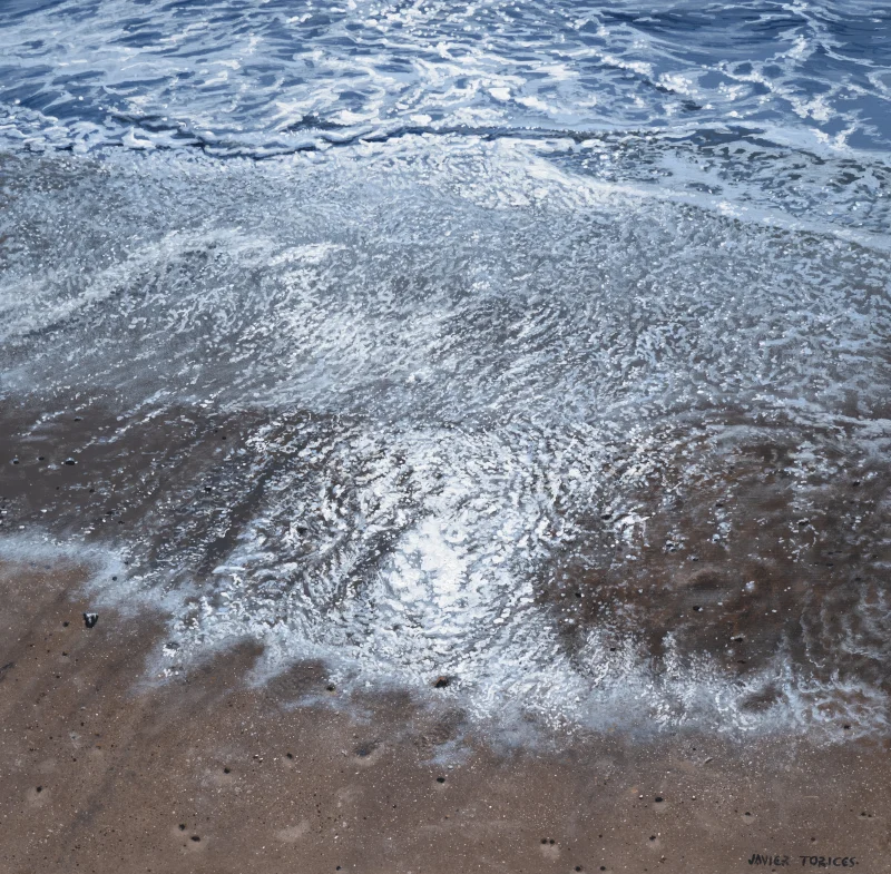 Javier Torices | Waves and Shores