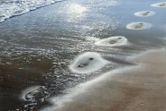 Javier Torices | Footprints 13:23