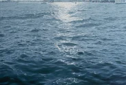 Javier Torices | Venecia 17:34