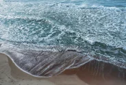 Javier Torices | Surfers