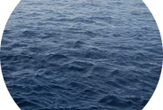 Javier Torices | Mediterranean 13:18