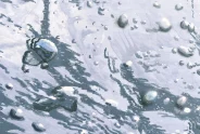 Javier Torices | Bubbles Series 10:48