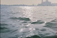 Javier Torices | Venice