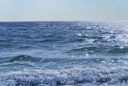 Javier Torices | Orilla del Mediterráneo