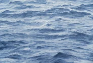Javier Torices | Mediterráneo 13:18