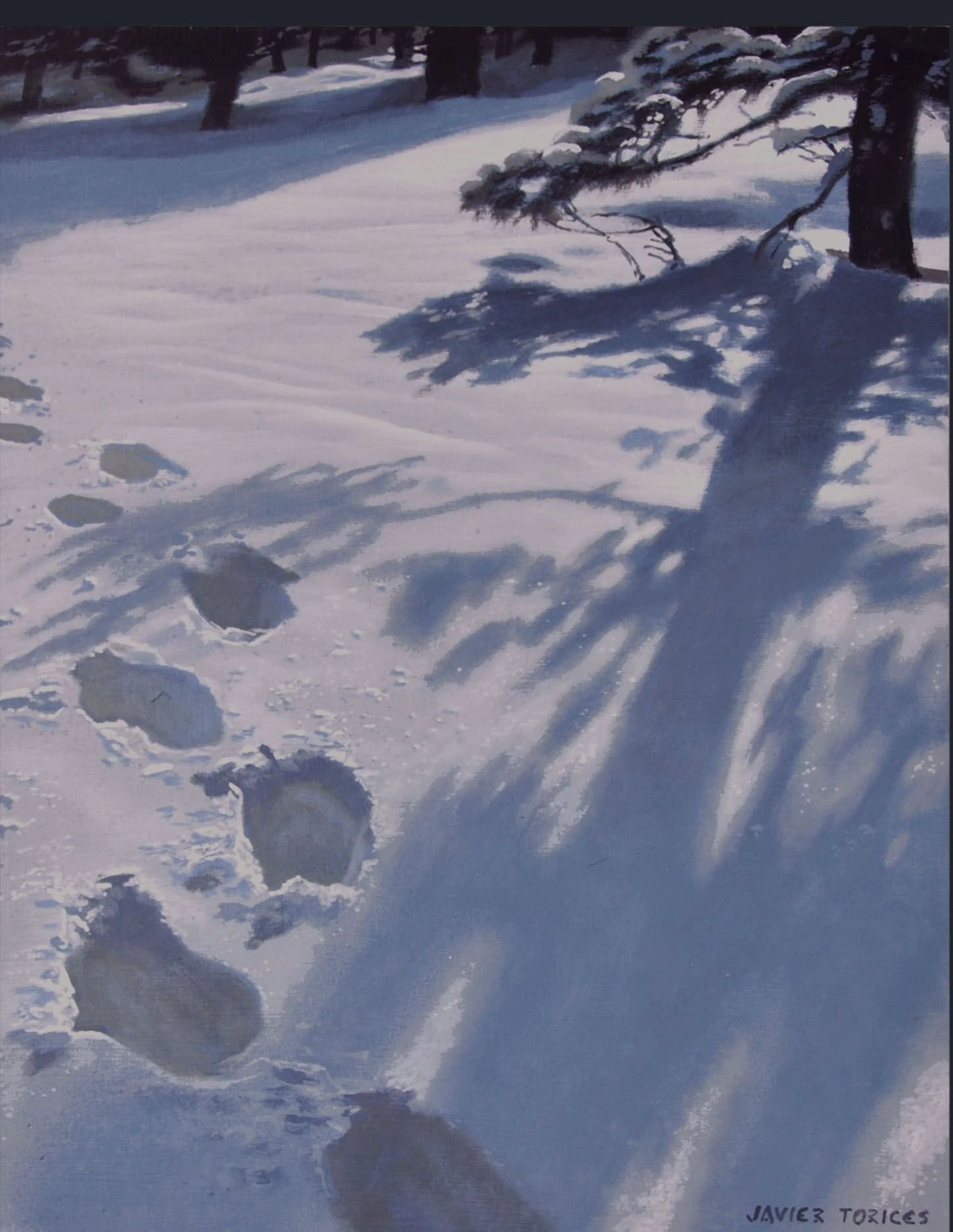 Javier Torices | Footprints