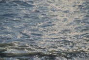 Javier Torices | Marais de Y´ves 15:10