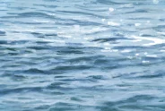 Javier Torices | Mediterráneo 11:22