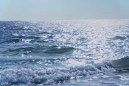 Javier Torices | Orilla del Mediterráneo