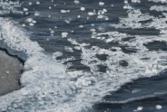 Javier Torices | Mediterráneo 10:25