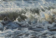 Javier Torices | Marais de Y´ves 15:10