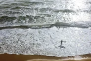 Javier Torices | Surfer
