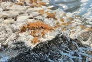 Javier Torices | Rocas de Cala Conta  17:31