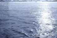 Javier Torices | Hudson River back light