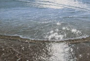 Javier Torices | Crystalline Water
