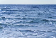 Javier Torices | Orilla del Mediterráneo