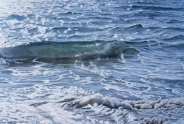 Javier Torices | Orilla del Mediterráneo