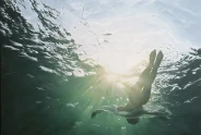 Javier Torices | Backlight